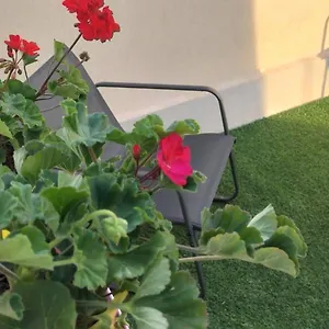 https://perla-marina-avola.sicilyhotelsitaly.net